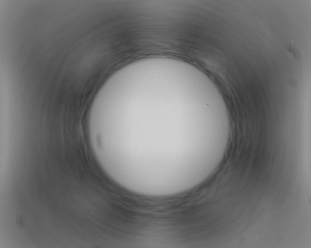 X0000114510221200910190935