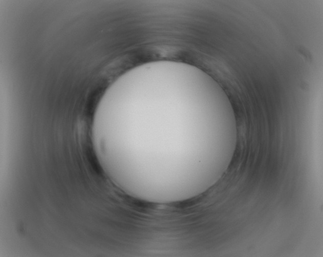 X0000114510222200910190935