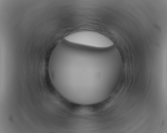 X0000114510223200910190935