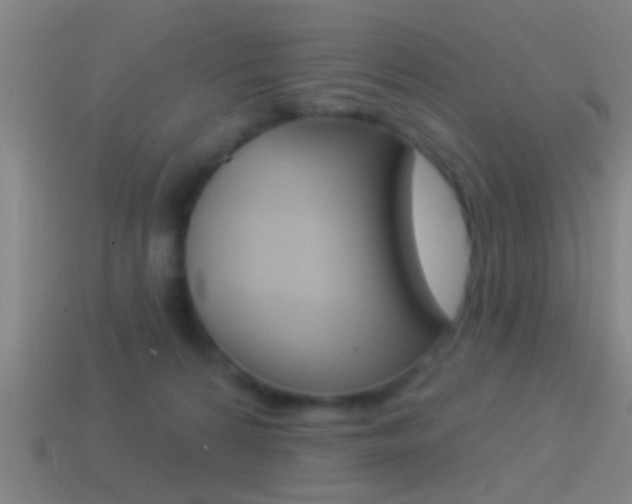 X0000114510224200910190935