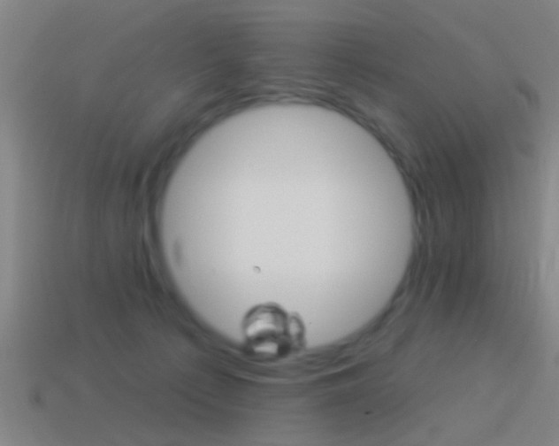 X0000114510225200910190935