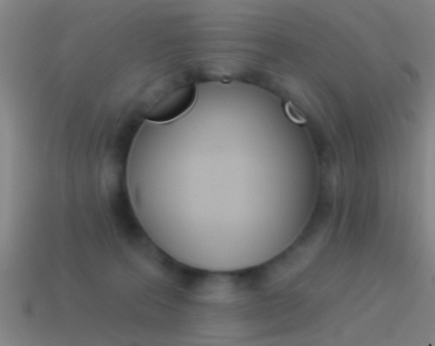 X0000114510227200910190935