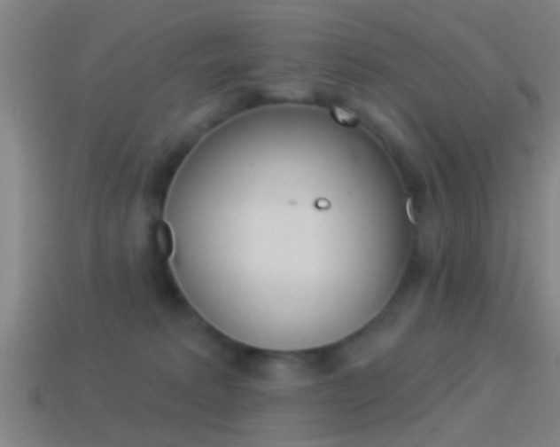 X0000114510229200910190935