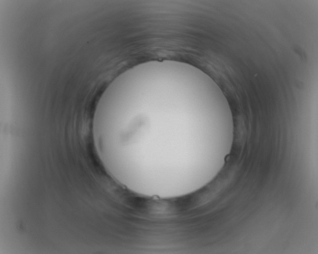 X0000114510230200910190935