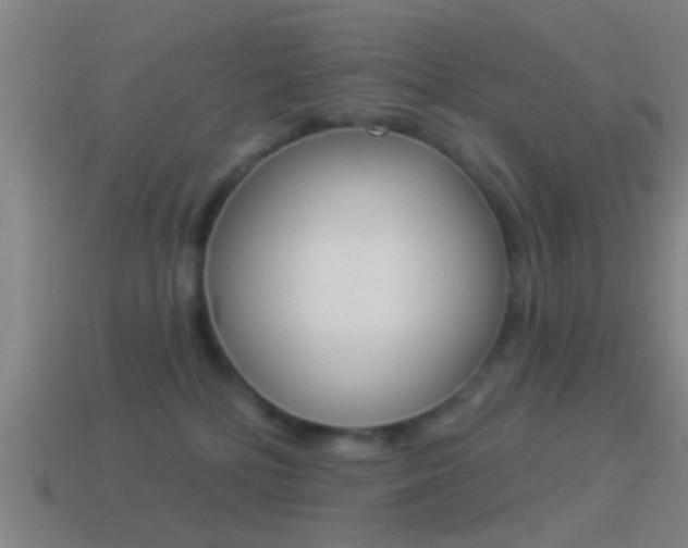 X0000114510232200910190935