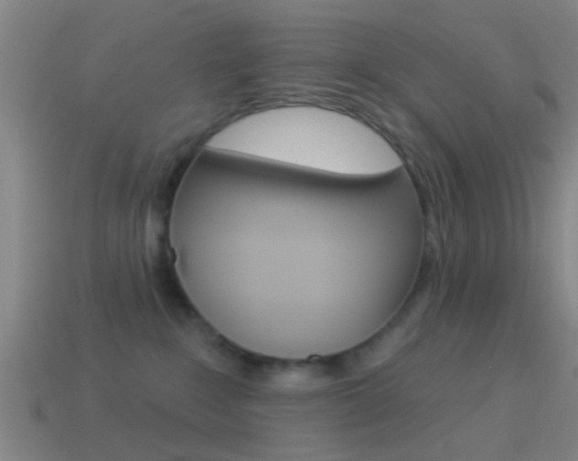 X0000114510235200910190935