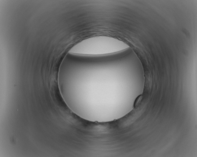 X0000114510236200910190935