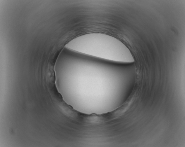 X0000114510237200910190935