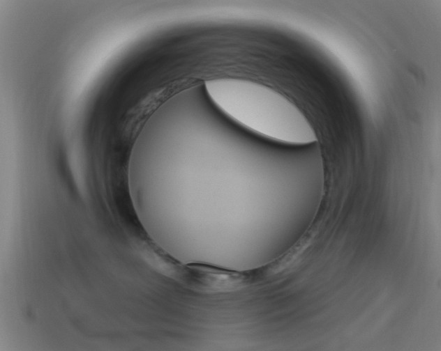 X0000114510239200910190935