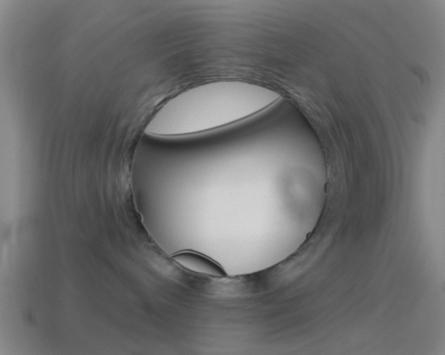 X0000114510240200910190935