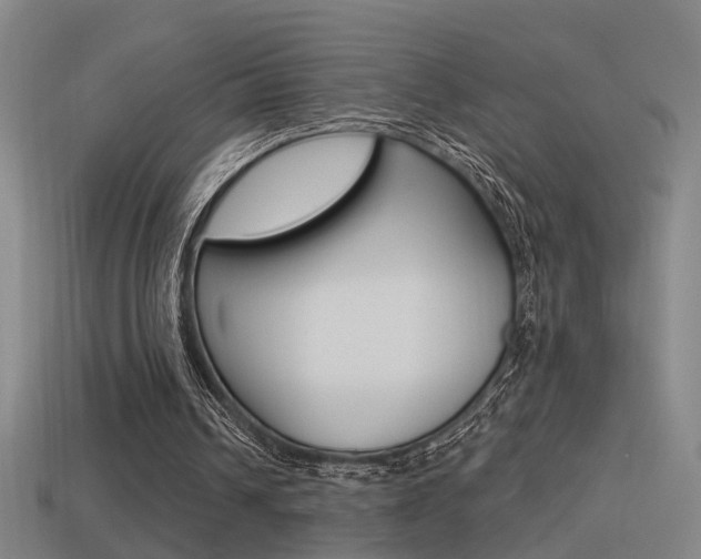 X0000114510242200910190934