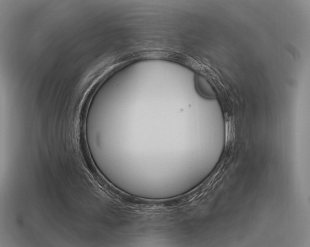 X0000114510243200910190935