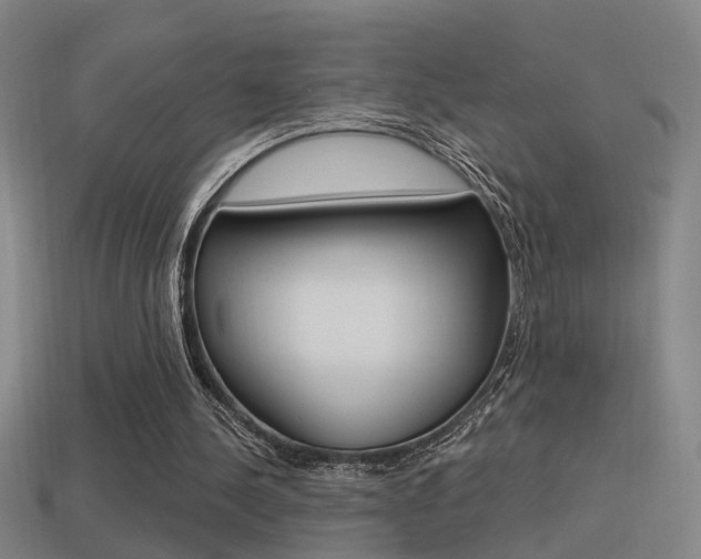 X0000114510244200910190935