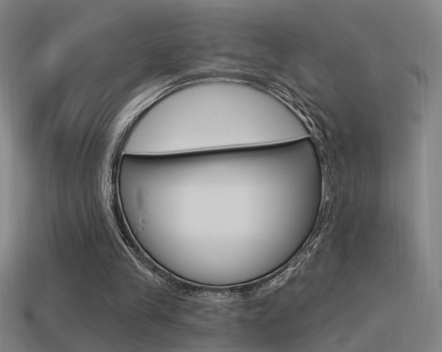 X0000114510245200910190935