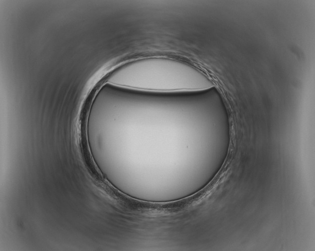 X0000114510246200910190935