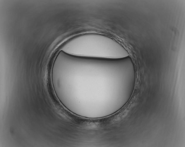 X0000114510247200910190935