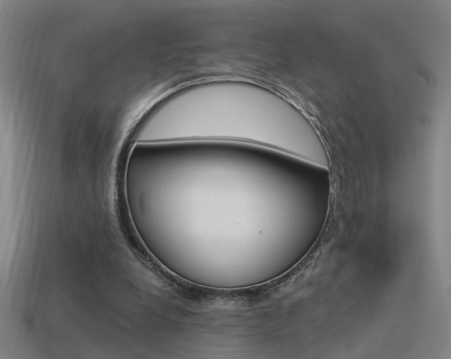 X0000114510248200910190935