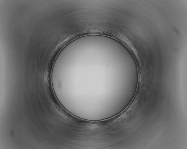 X0000114510249200910190935