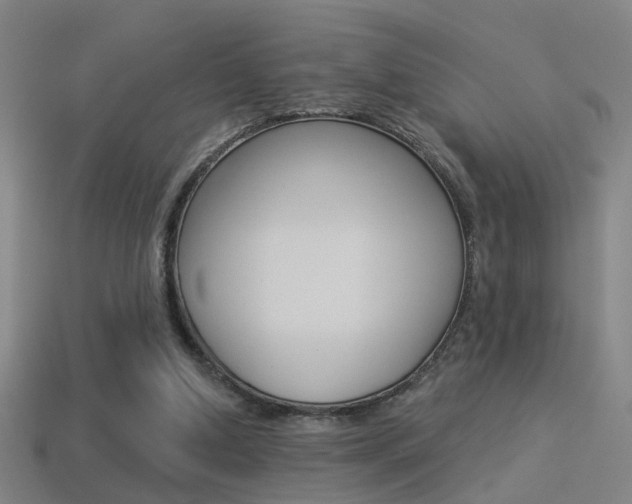 X0000114510250200910190935