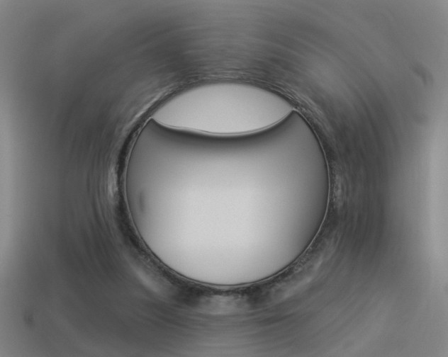 X0000114510251200910190935