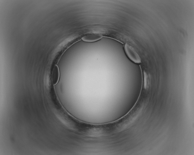 X0000114510252200910190935