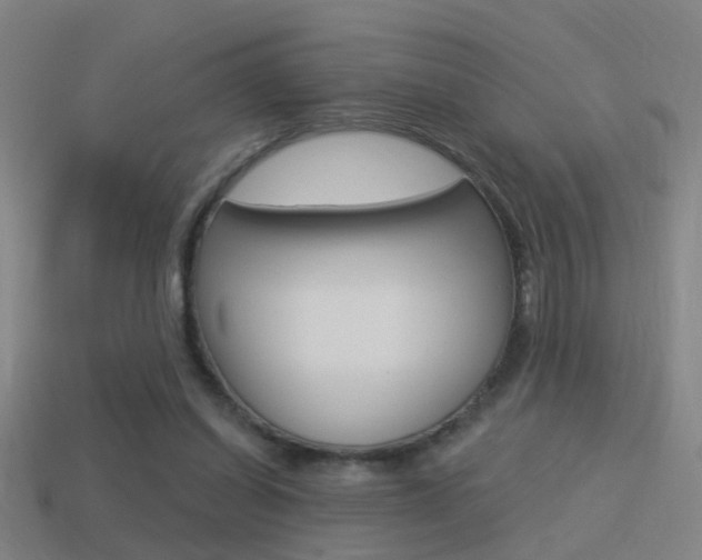 X0000114510254200910190935