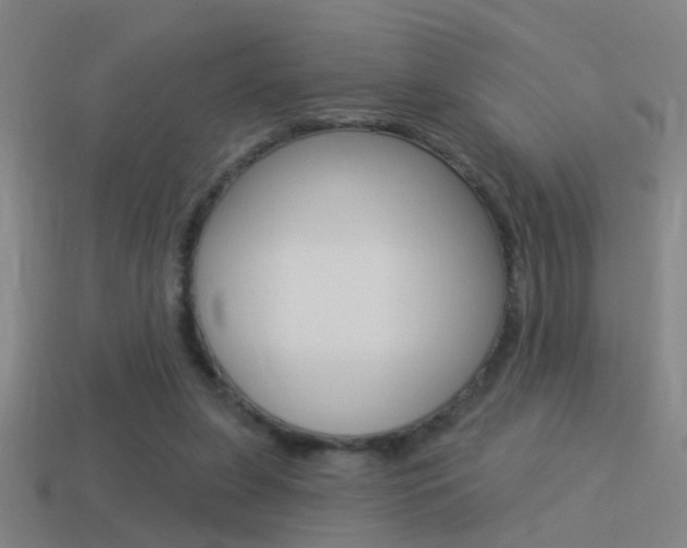 X0000114510255200910190935
