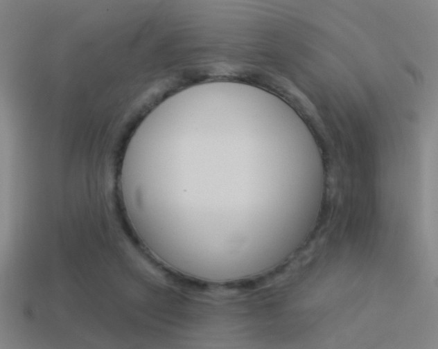 X0000114510257200910190935