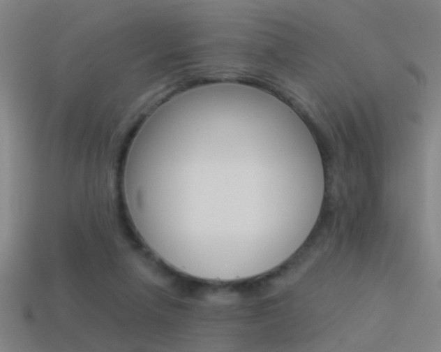X0000114510258200910190935