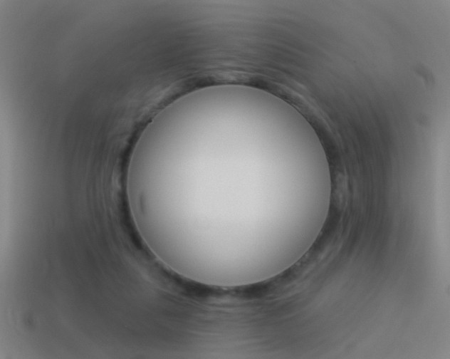 X0000114510259200910190935