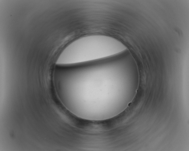 X0000114510260200910190935