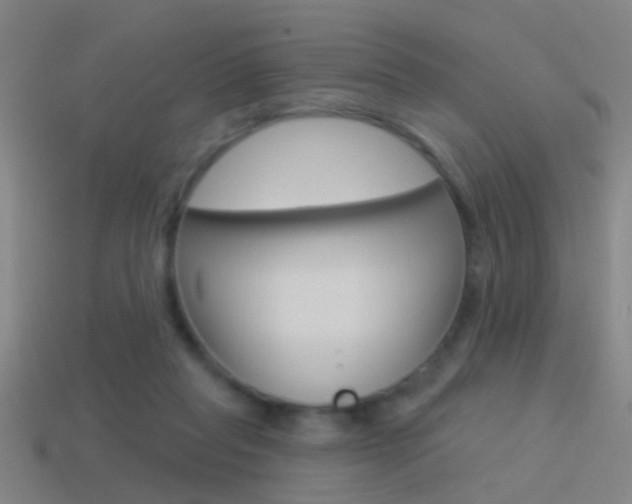 X0000114510261200910190935