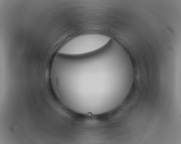 X0000114510262200910190935