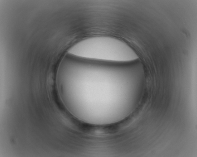 X0000114510264200910190935