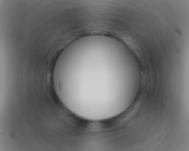 X0000114510269200910190935