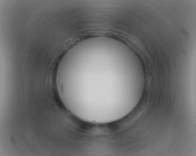 X0000114510270200910190935
