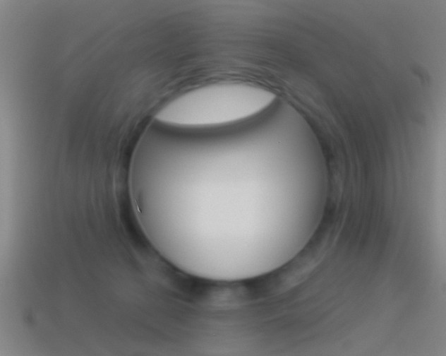 X0000114510274200910190935