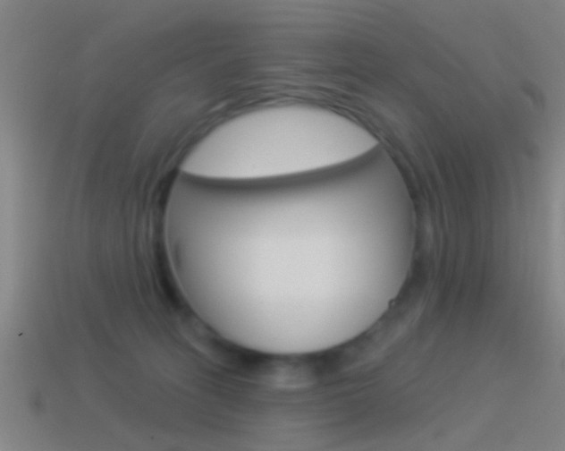 X0000114510275200910190935