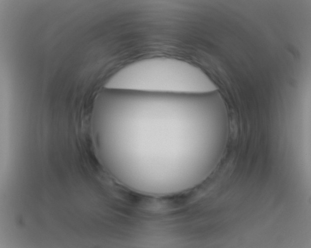 X0000114510276200910190935