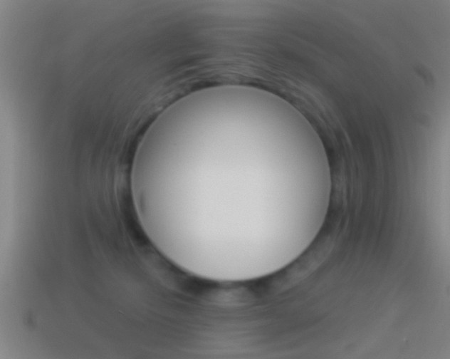 X0000114510278200910190935