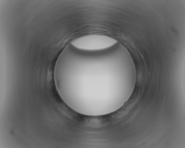 X0000114510282200910190935