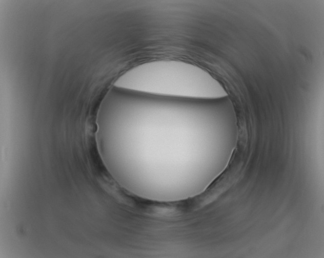 X0000114510284200910190935