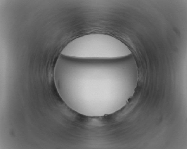 X0000114510285200910190935