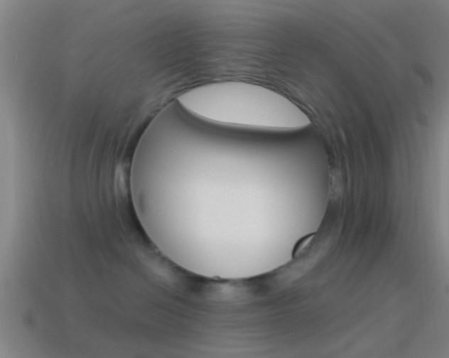 X0000114510286200910190935
