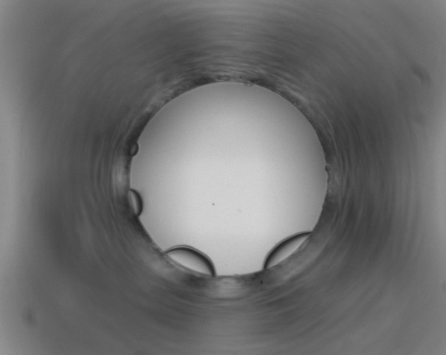 X0000114510287200910190935