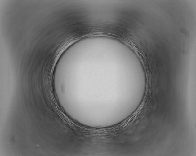 X0000114510289200910190934