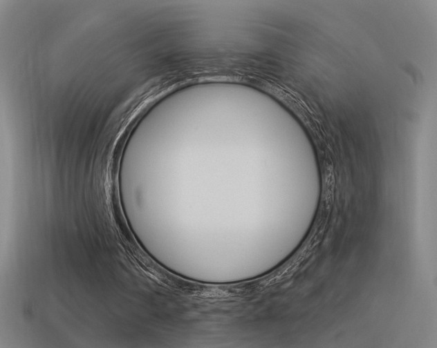 X0000114510290200910190934