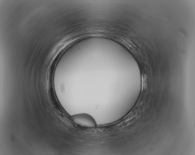 X0000114510291200910190934