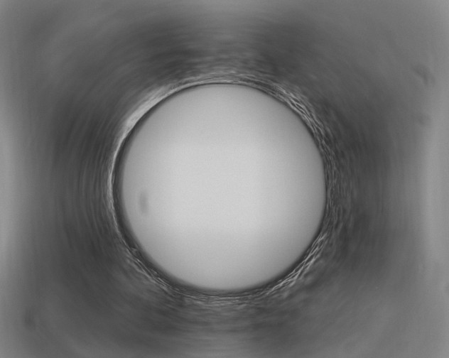 X0000114510292200910190934