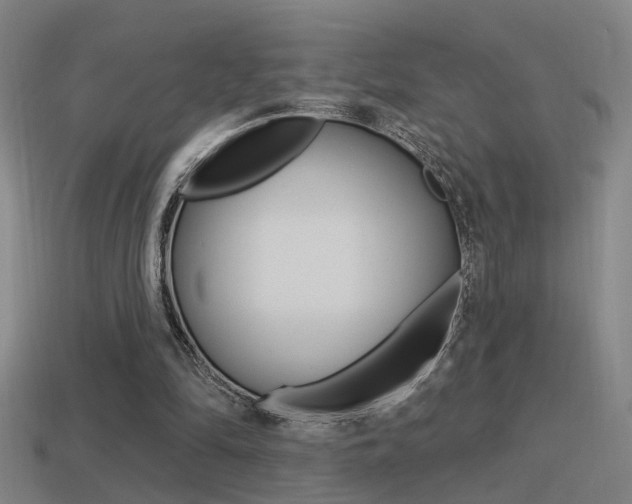 X0000114510294200910190934
